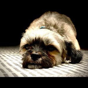 Meet your Posher, Erin